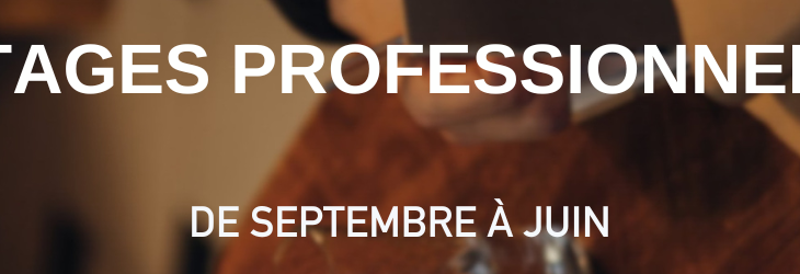 Stages Professionnels