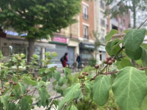 Cie ARBORESCENT.E.S Le prix du sommeil léger